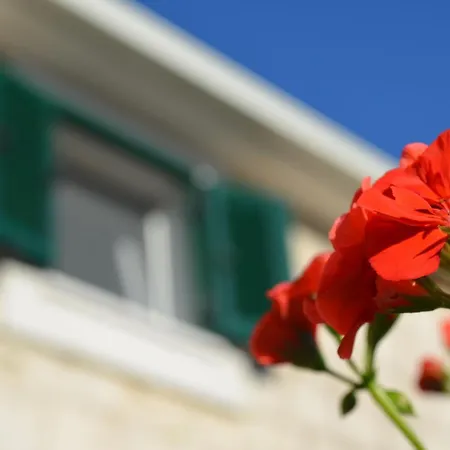 House Little Flower * Trogir