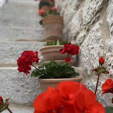 House Little Flower Trogir