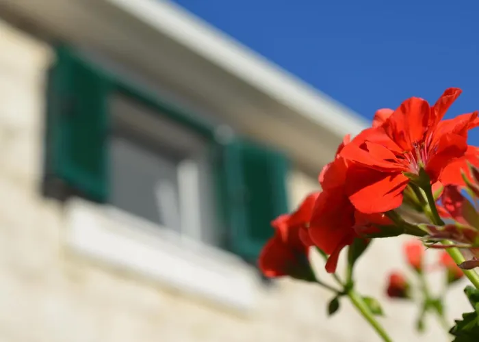 House Little Flower * Trogir