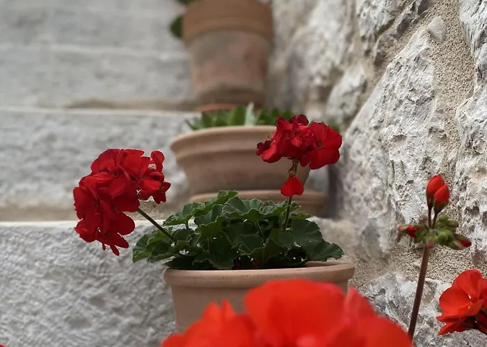 House Little Flower Trogir